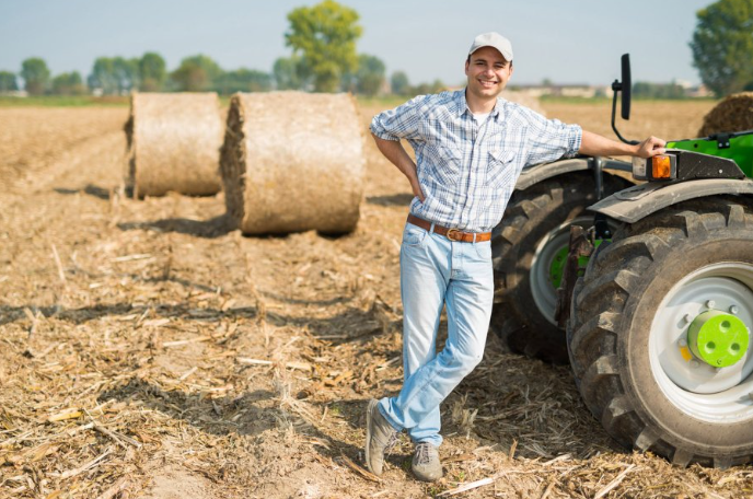 What Do Farmers Mostly Do on Break Time?