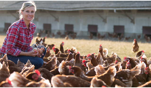 What is the Purpose of a Poultry Farmers Job?